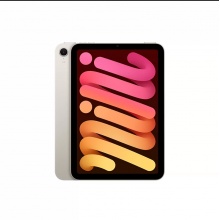 Apple iPad mini